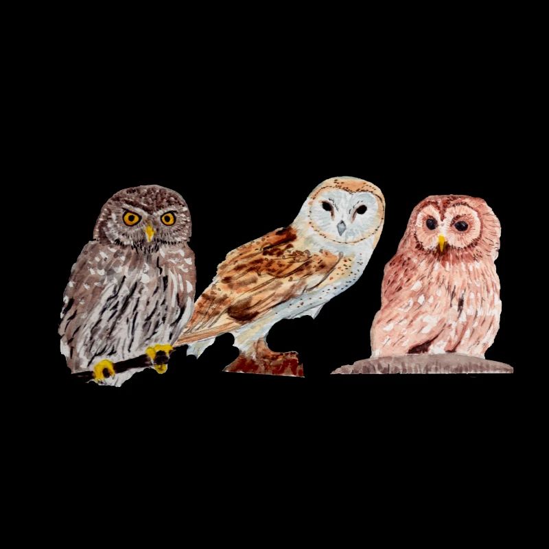 Trio von Eulen