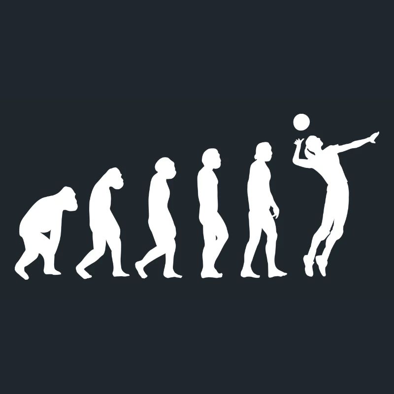 Volley-ball Volleyballs Beach volley Evolution