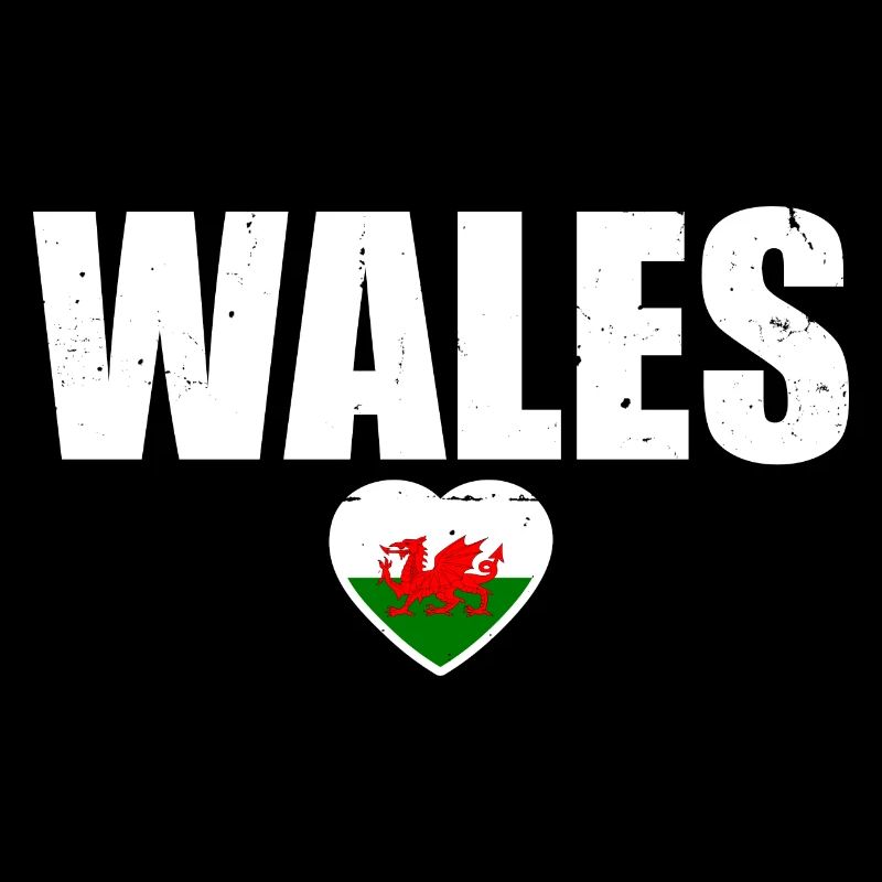 Wales Walisische Flagge Waliser