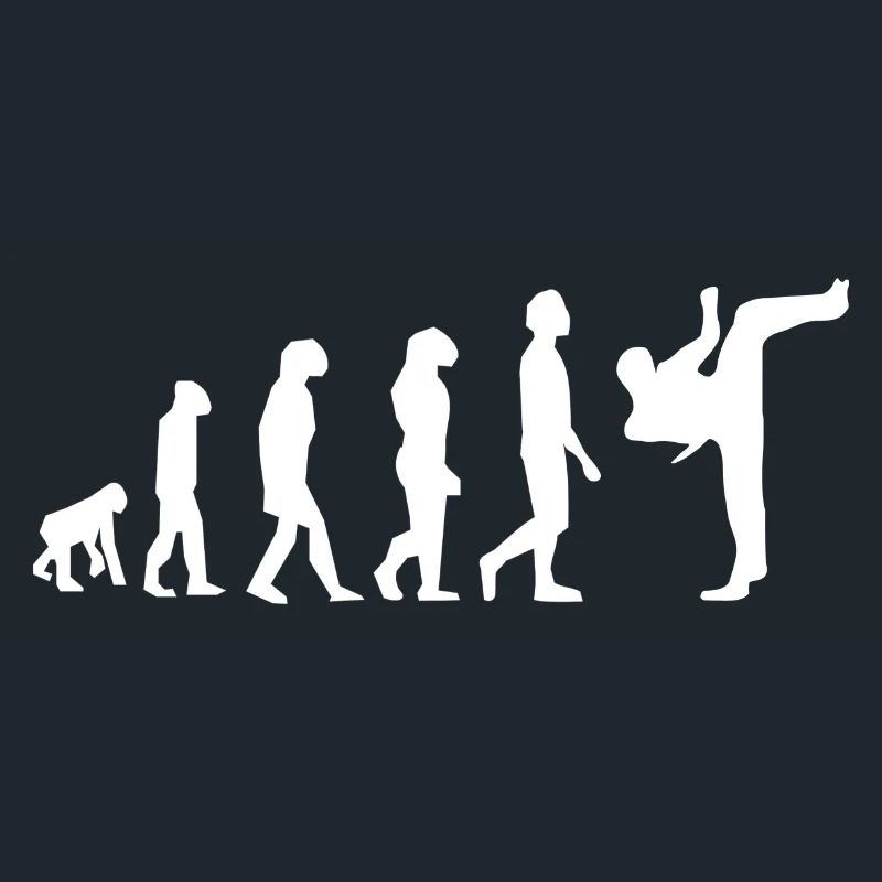 Art martiaux évolution