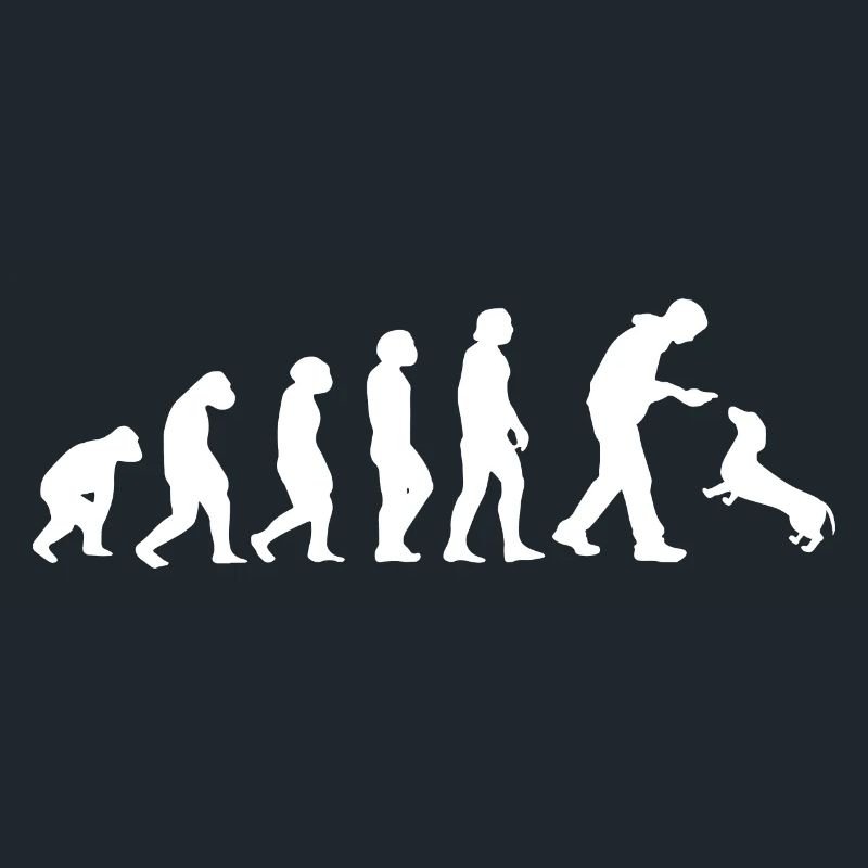 Evolution Dog Animal Badger Dachshund Dog