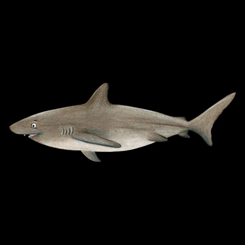 Bronze Shark