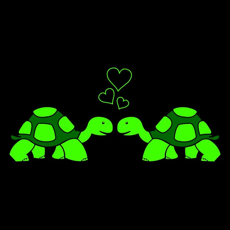 Amour de tortue