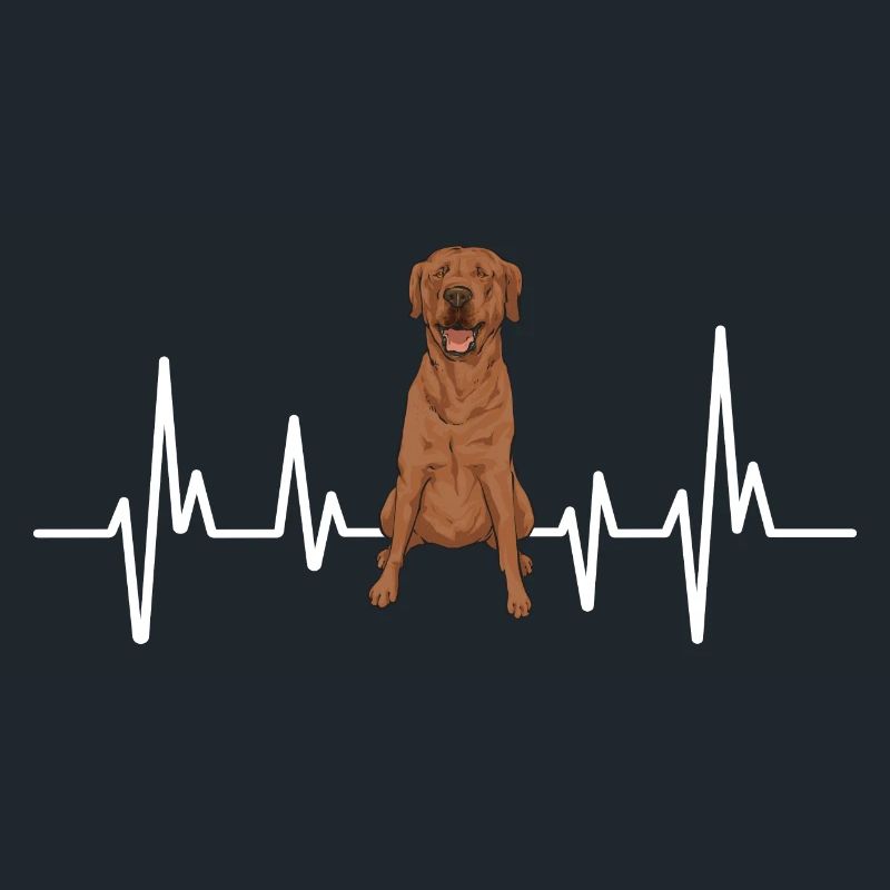 Foxred Labrador Fox Red Labrador Retriever