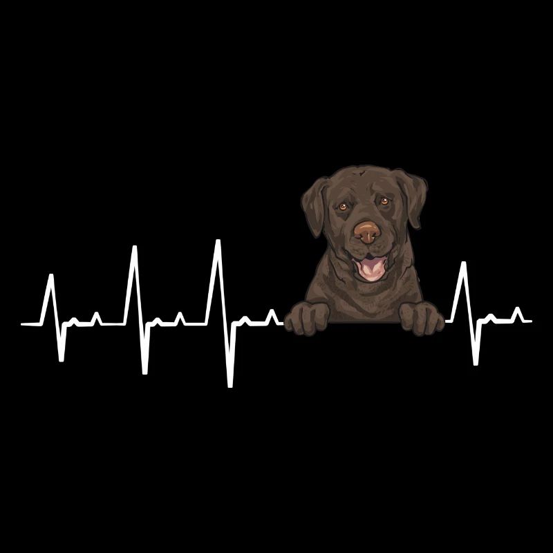 Chien Labrador Retriever chocolat