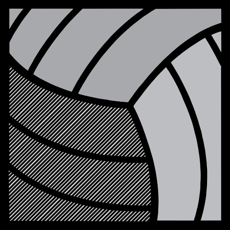 Volley-ball