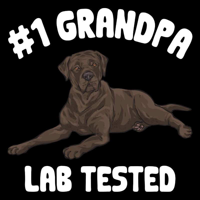 Schoko Brauner Labrador Retriever Hund