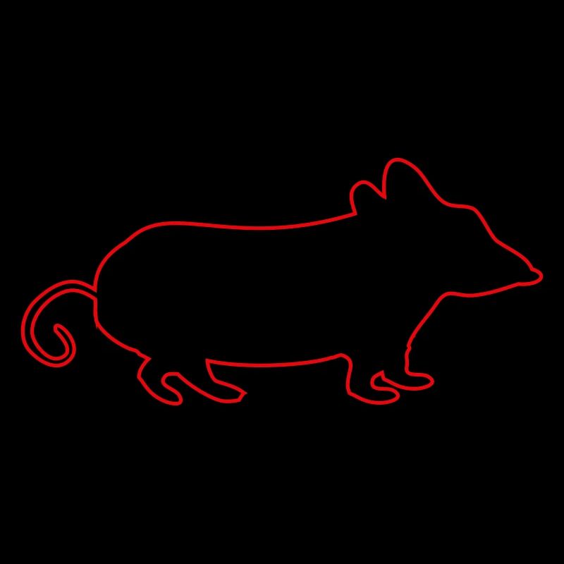 Mouse Animal
