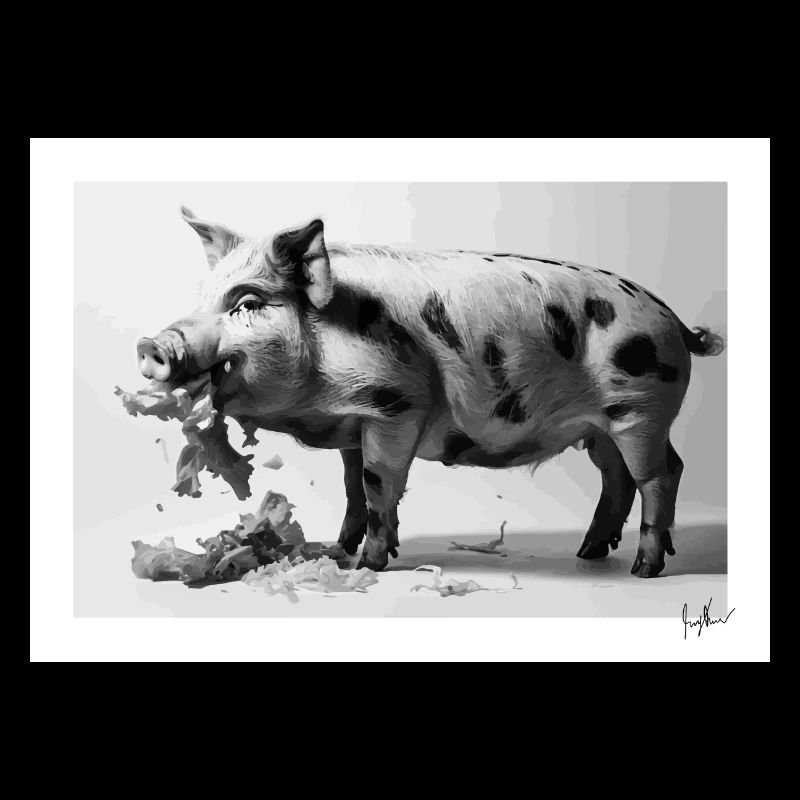Schwein isst Salat