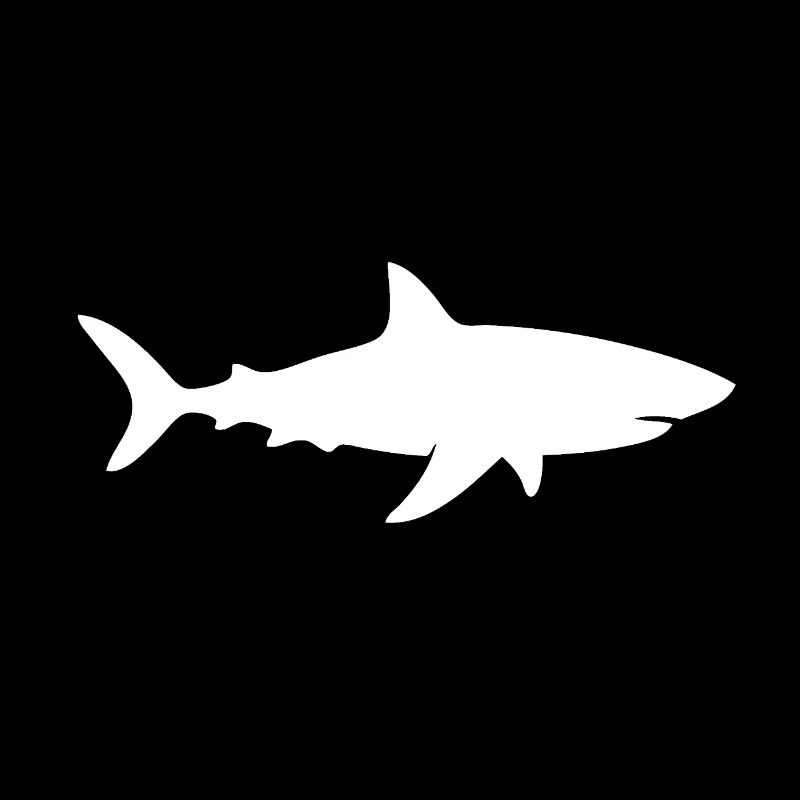Shark