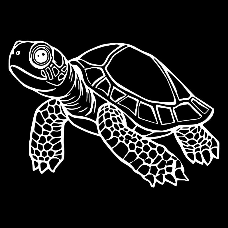 Turtle Turtles