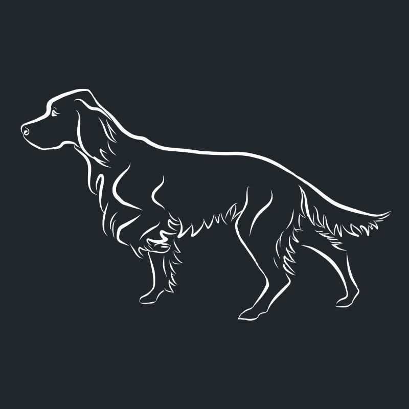 Setter ci-dessus