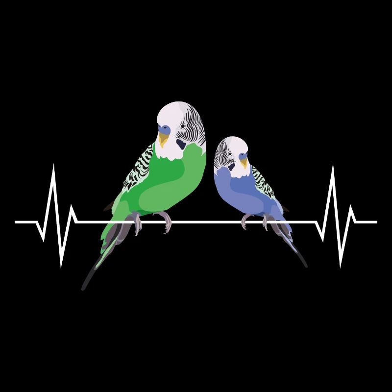 Wellensittich Vogel Herzschlag