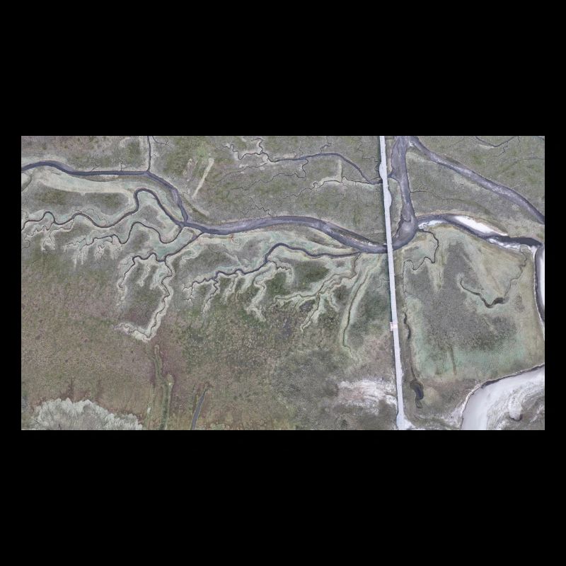 Dünen - Sankt Peter Ording