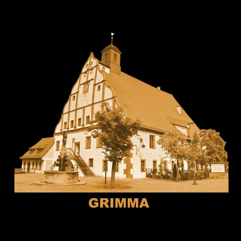 Grimma Hôtel de Ville Saxe-Leipzig Mulde