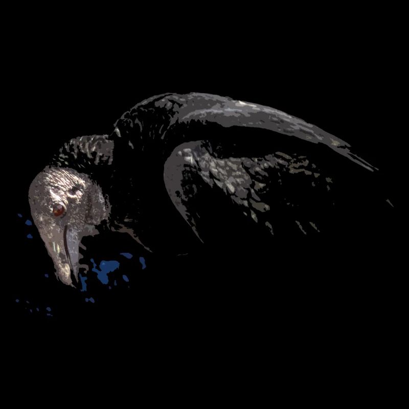 le terrible vautour à l'oeil rouge