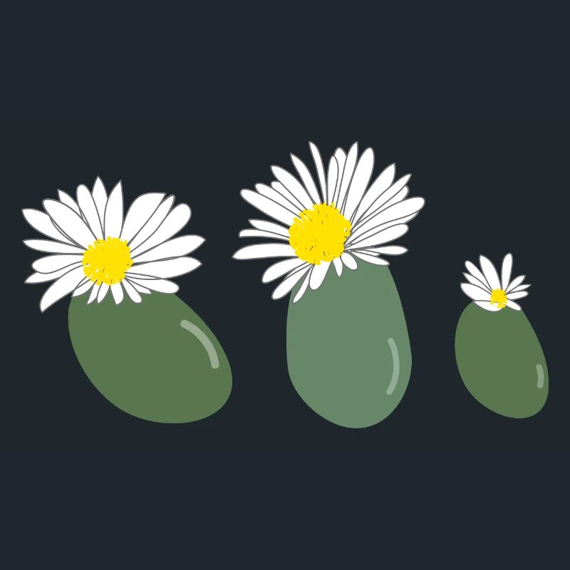 Fleur de lithops2