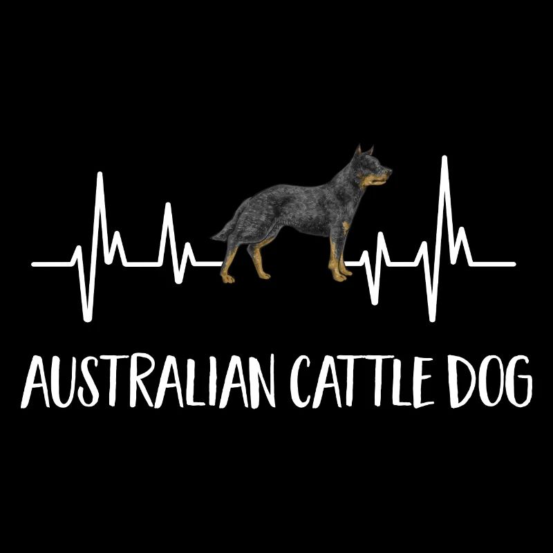 Bouvier australien Red Blue Heeler