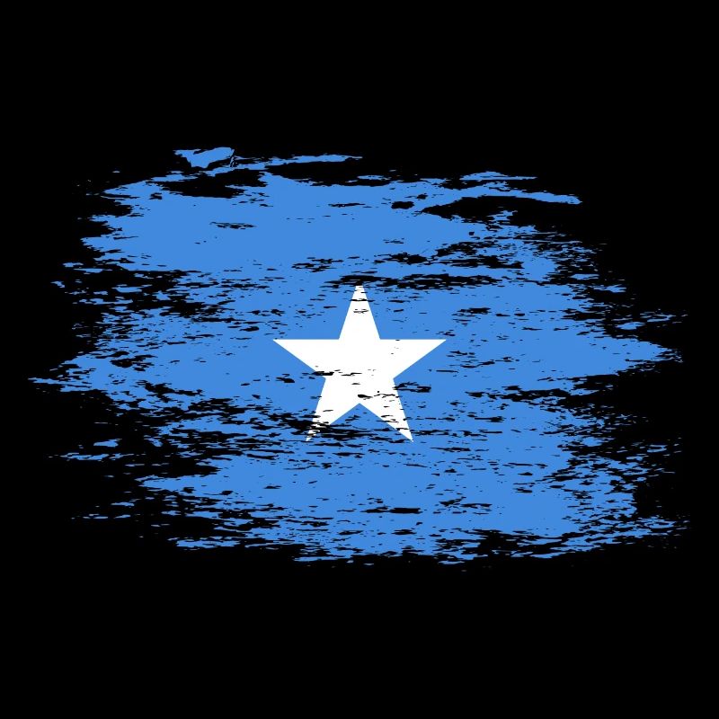 Drapeau de la Somalie utilisé
