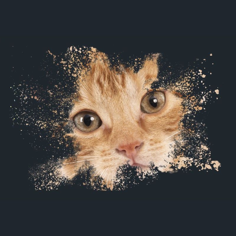 Chat orange avec éclaboussure d’aquarelle