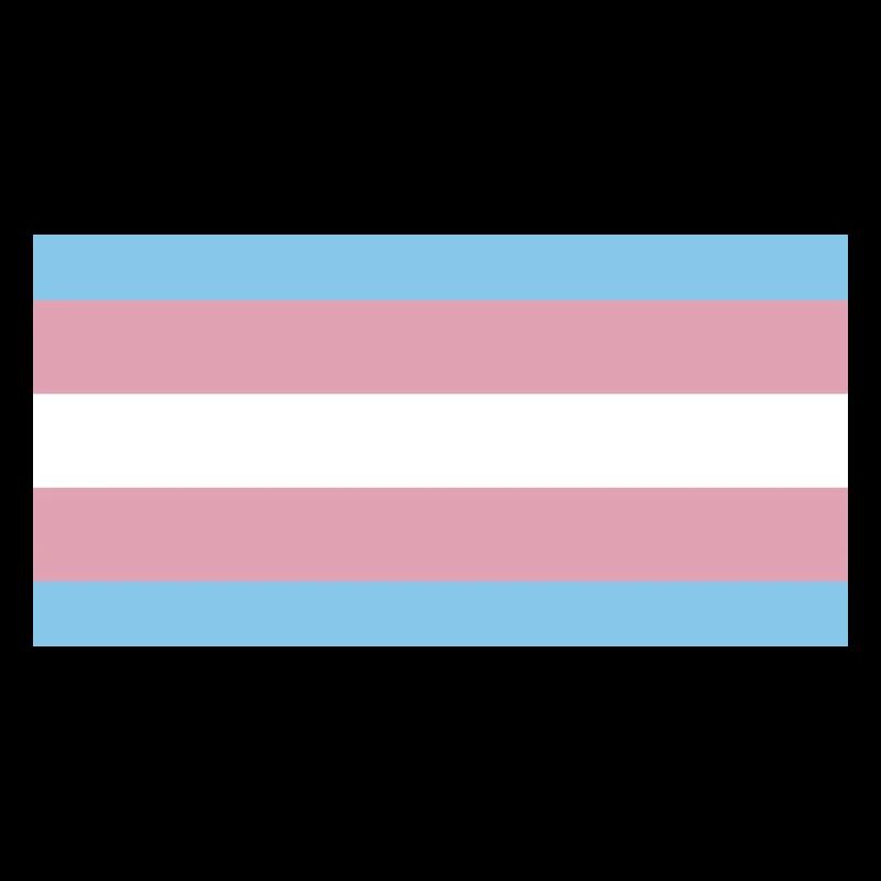trans pride