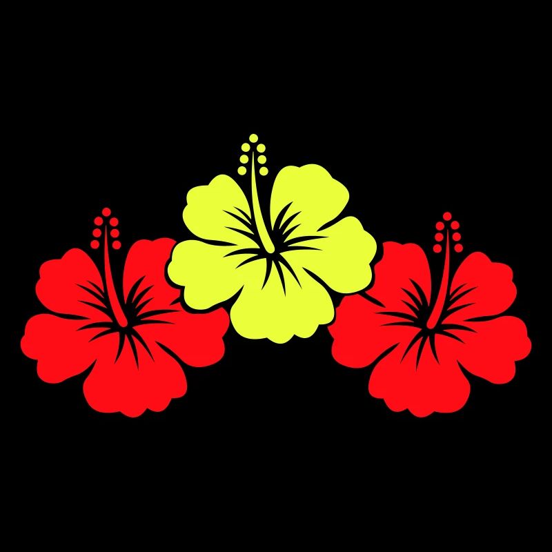 Fleur d’hibiscus 2