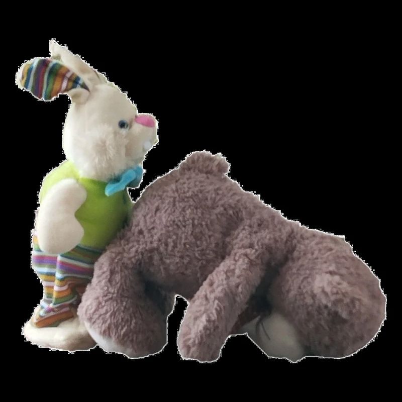 lapin ourson