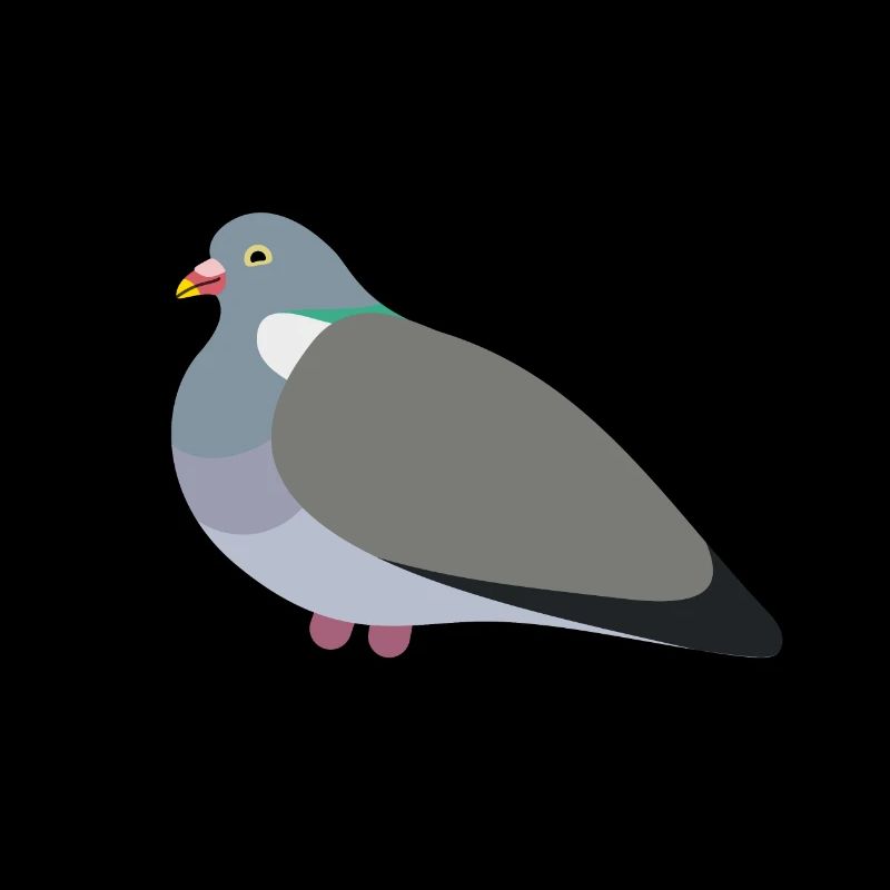 Pigeon ramier