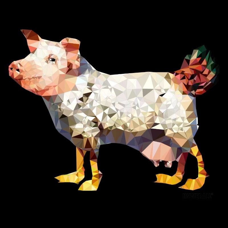 Egg-laying wool milk sow