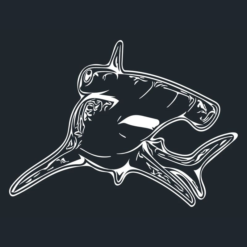 Requin-marteau élégant