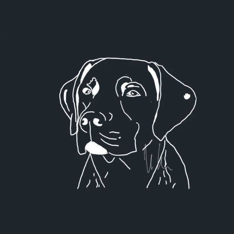 Labrador