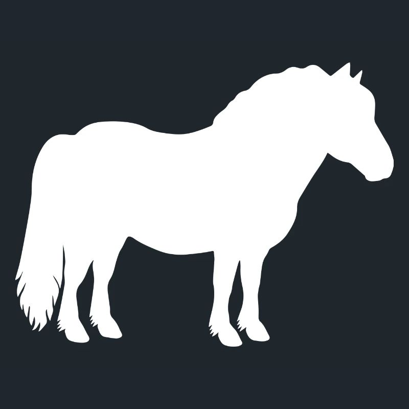 Shetty Shetland poney cheval cavalier dames filles