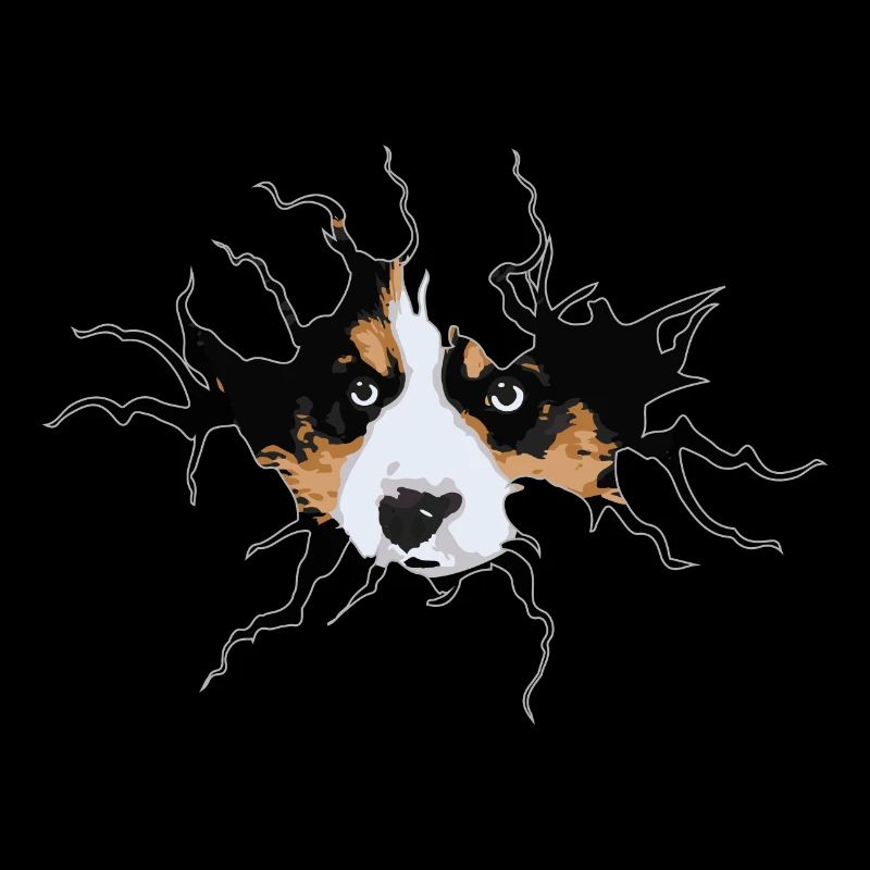 Cute Border Collie cracked hole