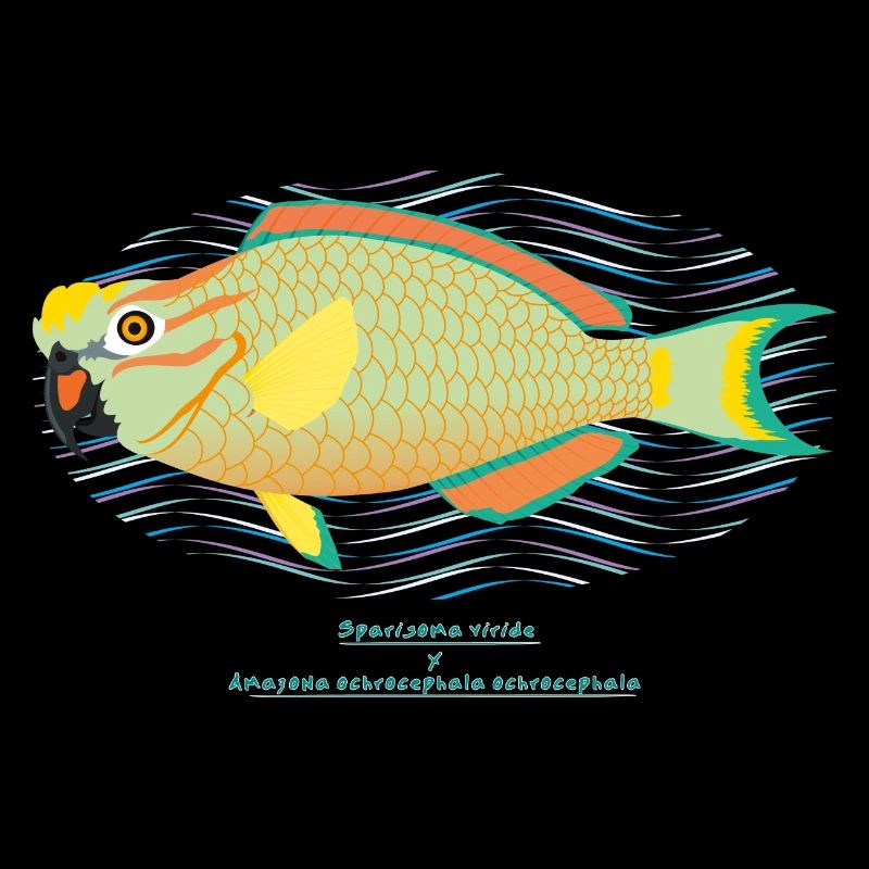 Papageienfisch / Hybrid