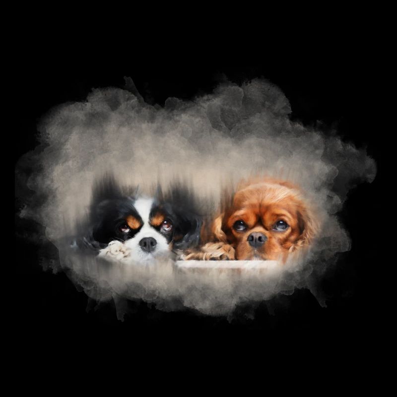 Zwei niedliche Cavaliers transparent