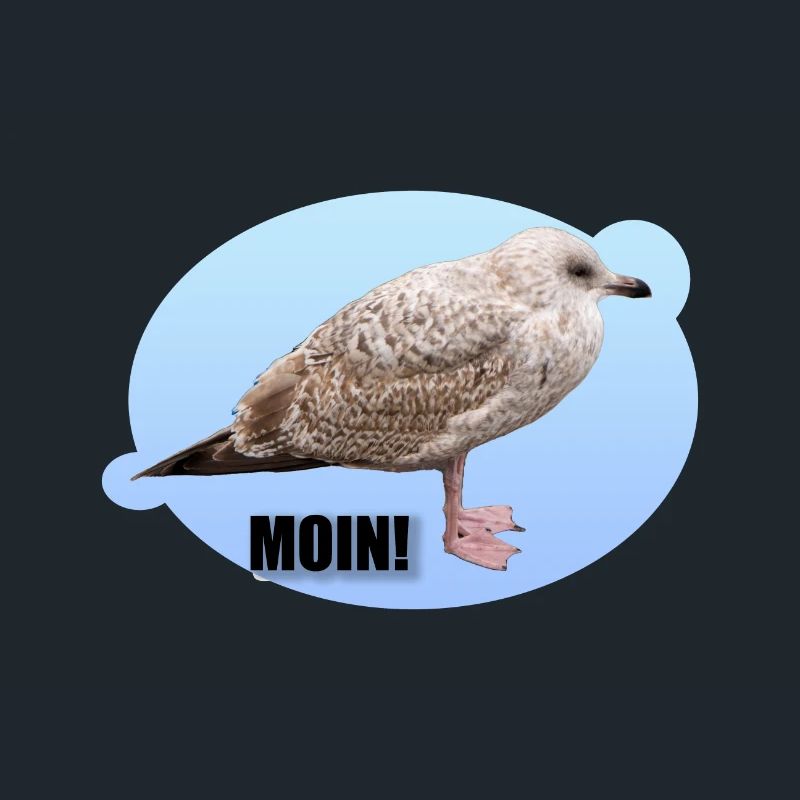 Möwe