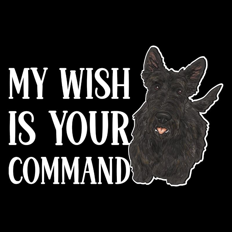 Scottish Terrier Scottie Hund