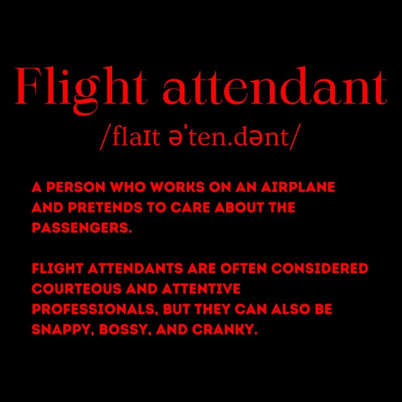 Flugbegleiter Definition