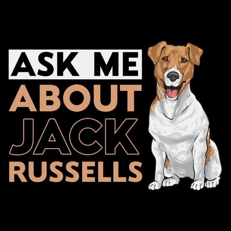 Jack Russell Terrier