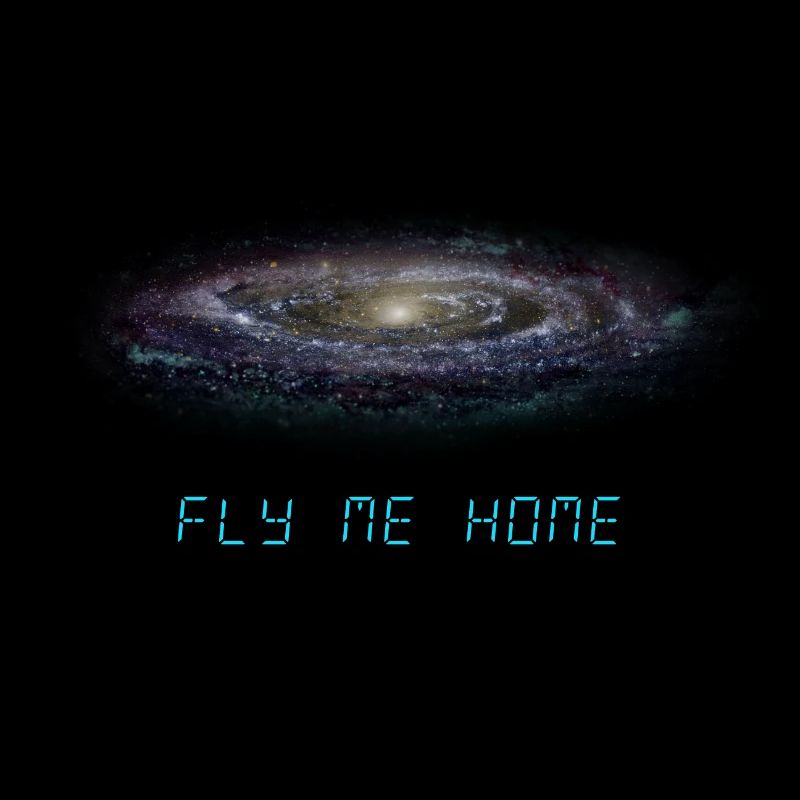 Fly me home