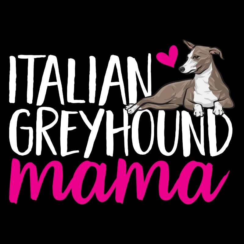 Lévrier italien Greyhound Chiens
