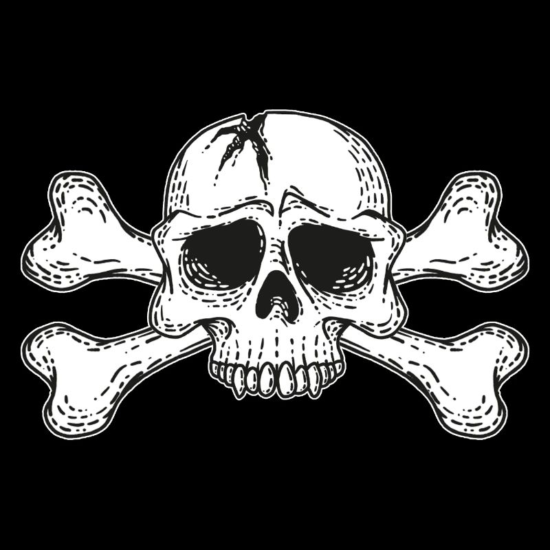 skull with bones