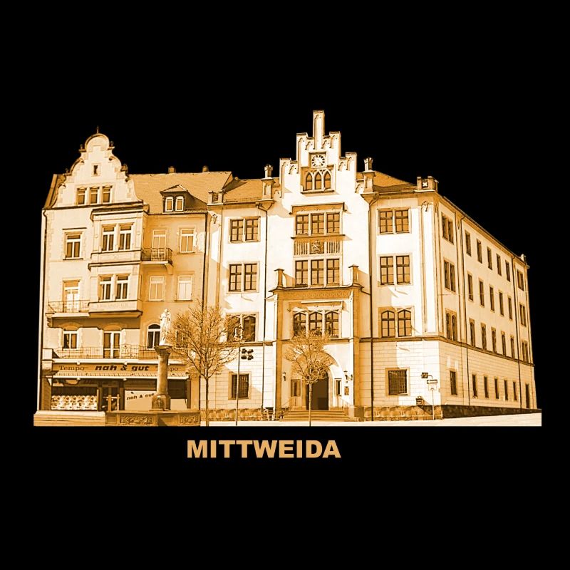 Mittweida Town Hall University City Saxony