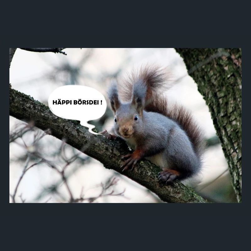 Eichhörnchen, Isibat