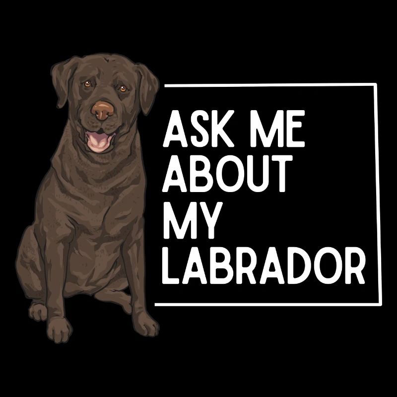 Chien Labrador Retriever chocolat