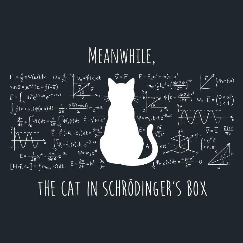 Le Chat de Schrödinger – Physique & Science Design