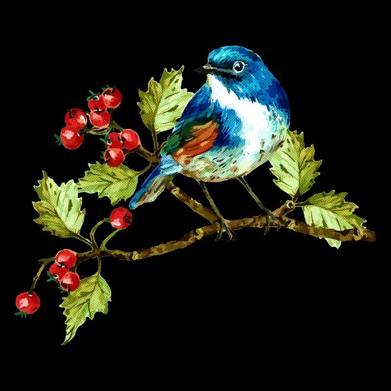 Bunter Vogel