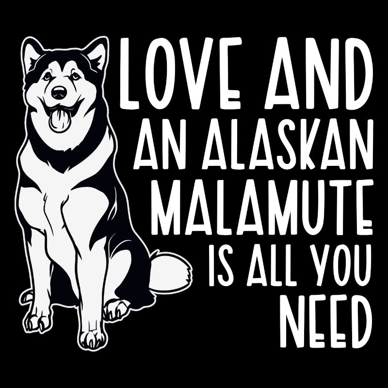 Chien Malamute d’Alaska