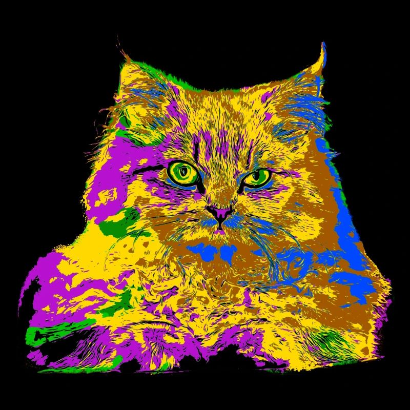 Colorful cat