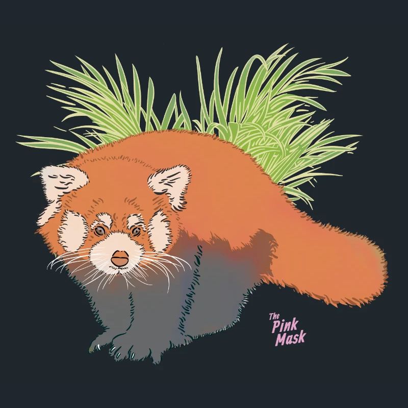 Panda roux